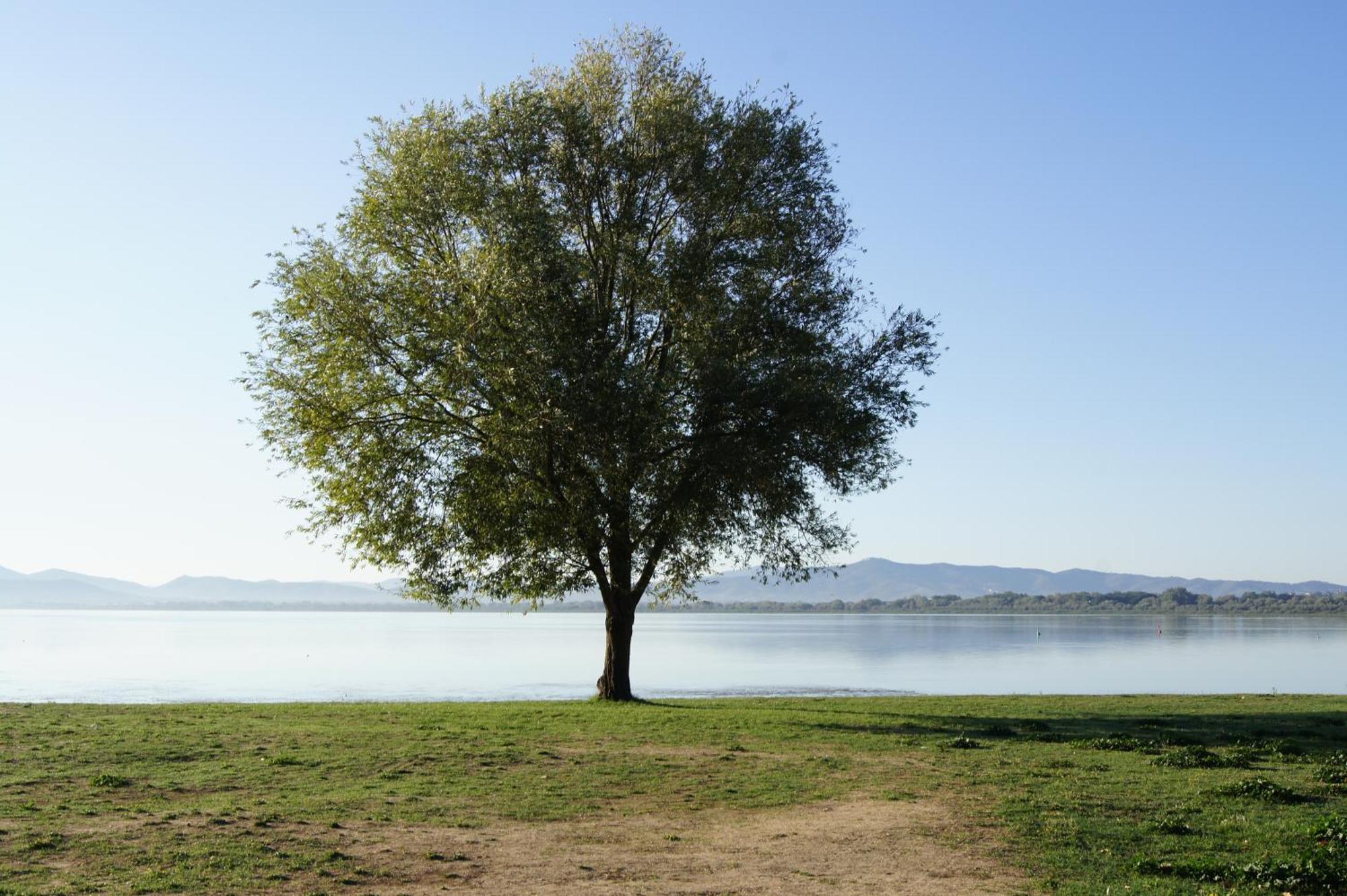 Residence Al Lago Castiglione del Lago Buitenkant foto
